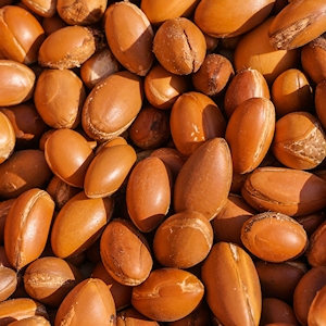 Argan Oil