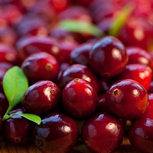 Cranberry Extract